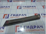 Накладка двери задней правой BMW X5 (E53) 51347041436