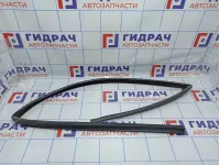 Уплотнитель стекла двери передней левой BMW X5 (E53) 51328402527
