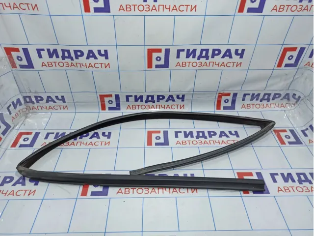 Уплотнитель стекла двери передней левой BMW X5 (E53) 51328402527