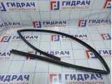 Уплотнитель стекла двери передней левой BMW X5 (E53) 51328402527