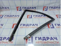 Уплотнитель стекла двери задней левой BMW X5 (E53) 51348402591