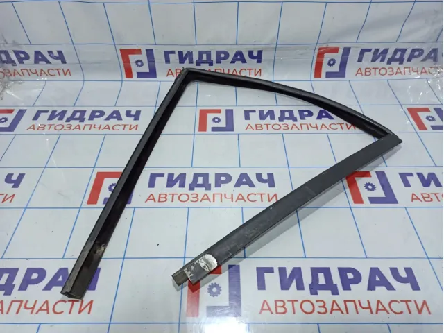 Уплотнитель стекла двери задней левой BMW X5 (E53) 51348402591
