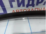 Уплотнитель стекла двери задней правой BMW X5 (E53) 51348402592