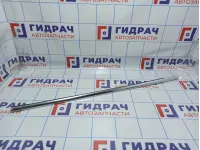 Накладка стекла переднего левого BMW X5 (E53) 51328251593