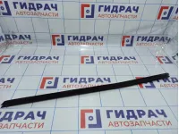 Уплотнитель стекла двери переднего левого BMW X5 (E53) 51328402555