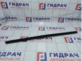 Уплотнитель стекла двери переднего правого BMW X5 (E53) 51328402556
