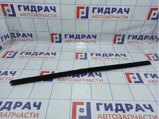 Уплотнитель стекла двери переднего правого BMW X5 (E53) 51328402556
