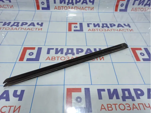 Уплотнитель стекла двери заднего правого BMW X5 (E53) 51348402632
