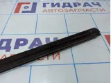 Уплотнитель стекла двери заднего правого BMW X5 (E53) 51348402632