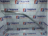 Накладка двери передней правой BMW X5 (E53) 51328257684