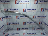 Накладка двери передней правой BMW X5 (E53) 51328257684