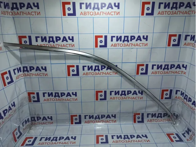 Накладка двери передней правой BMW X5 (E53) 51328257684