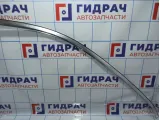 Накладка двери передней правой BMW X5 (E53) 51328257684