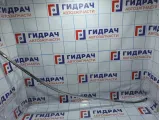 Накладка двери передней правой BMW X5 (E53) 51328257684