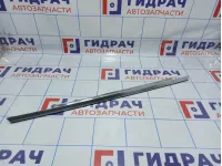 Накладка двери задней левой BMW X5 (E53)