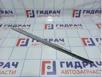 Накладка двери задней правой BMW X5 (E53)