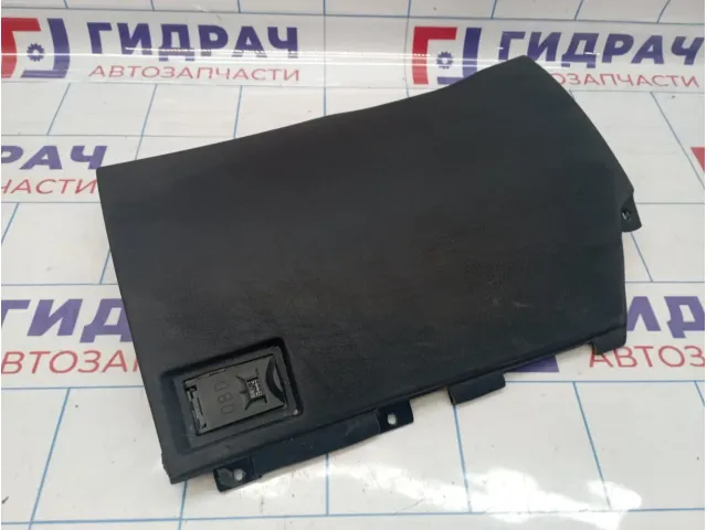 Накладка под торпедо левая BMW X5 (E53) 51458244293