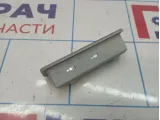 Плафон салонный задний BMW X5 (E53) 63318352286