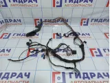 Проводка двери передней правой BMW X5 (E53)