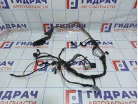 Проводка двери передней правой BMW X5 (E53)