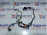 Проводка двери задней левой BMW X5 (E53)