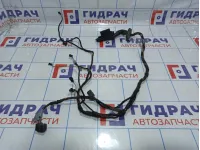 Проводка двери задней левой BMW X5 (E53)