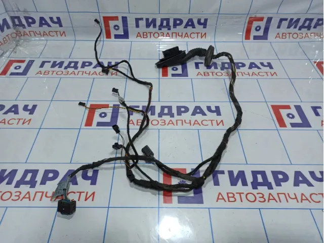 Проводка двери задней левой BMW X5 (E53)