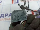 Проводка двери задней левой BMW X5 (E53)