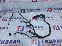 Проводка двери задней правой BMW X5 (E53)