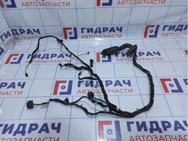 Проводка двери задней правой BMW X5 (E53)