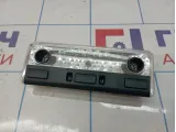 Плафон салонный BMW X5 (E53) 63316962046