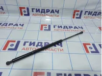 Амортизатор двери багажника BMW X5 (E53) 51248402405