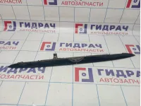 Накладка двери багажника BMW X5 (E53) 51137170674