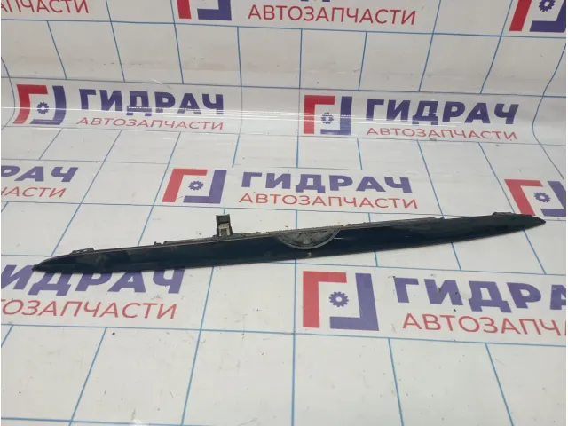 Накладка двери багажника BMW X5 (E53) 51137170674