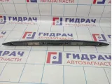 Накладка двери багажника BMW X5 (E53) 51137170674