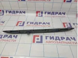 Накладка двери багажника BMW X5 (E53) 51137170674