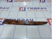 Накладка декоративная двери передней левой BMW X5 (E53) 51418261743