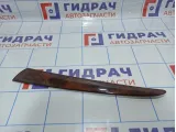 Накладка декоративная двери задней левой BMW X5 (E53) 51428261753