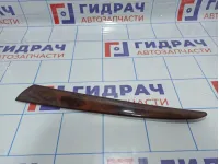 Накладка декоративная двери задней левой BMW X5 (E53) 51428261753