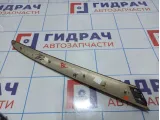 Накладка декоративная двери задней левой BMW X5 (E53) 51428261753