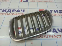 Решетка радиатора левая BMW X5 (E53) 51137124815