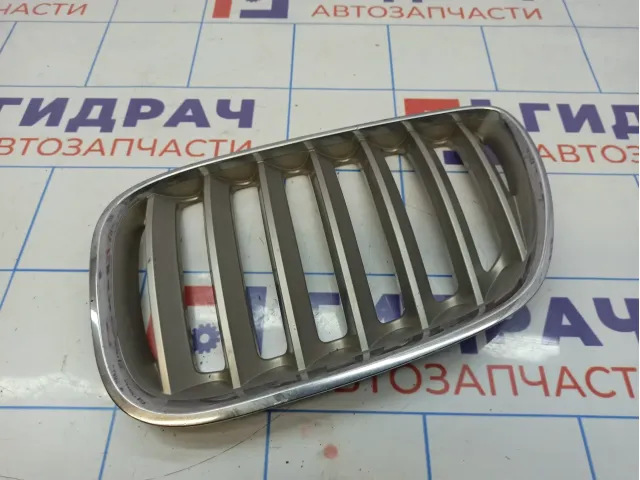 Решетка радиатора левая BMW X5 (E53) 51137124815