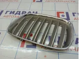 Решетка радиатора левая BMW X5 (E53) 51137124815