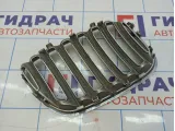 Решетка радиатора левая BMW X5 (E53) 51137124815