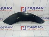 Накладка двери задней правой BMW X5 (E53) 51130008975