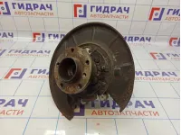 Кулак поворотный задний левый BMW X5 (E53) 33321095239