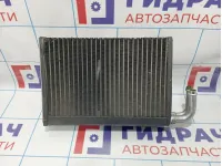 Испаритель кондиционера BMW X5 (E53) 64118385560