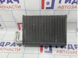 Испаритель кондиционера BMW X5 (E53) 64118385560