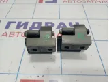 Петли двери задней левой BMW X5 (E53) 41528269845