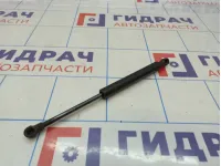 Амортизатор капота BMW X5 (E53) 51238402551